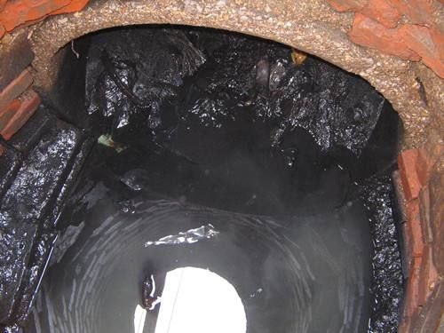 坦洲污水/雨水井清理